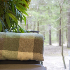 Дом Пихта, Ленинградская область