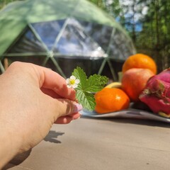 Глэмпинг Заповедное место, Ярославская область