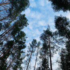 База отдыха Спорталия, Ленинградская область