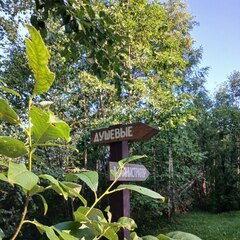 Глэмпинг Видомлицы, Новгородская область