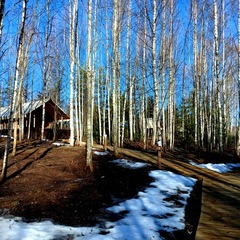 Глэмпинг Видомлицы, Новгородская область