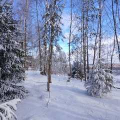 Глэмпинг Видомлицы, Новгородская область
