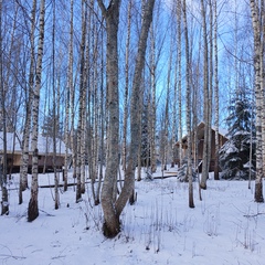 Глэмпинг Видомлицы, Новгородская область