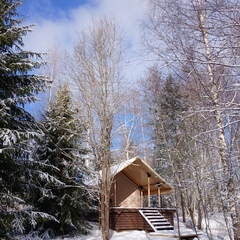 Глэмпинг Видомлицы, Новгородская область
