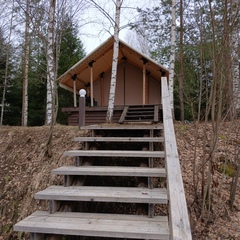 Глэмпинг Видомлицы, Новгородская область