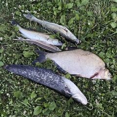 Дом Сельская усадьба Варежка, Нижегородская область