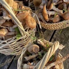 Дом Сельская усадьба Варежка, Нижегородская область