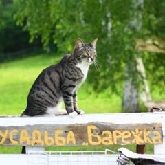 Дом Сельская усадьба Варежка, Нижегородская область