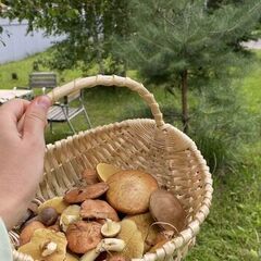 Дом Сельская усадьба Варежка, Нижегородская область