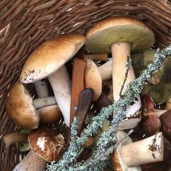 Дом Сельская усадьба Варежка, Нижегородская область