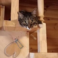 Дом Сельская усадьба Варежка, Нижегородская область