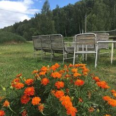 Дом Сельская усадьба Варежка, Нижегородская область