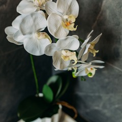 Гостевой дом Атмосфера, Республика Алтай