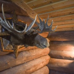 База отдыха Сондалы, Республика Карелия