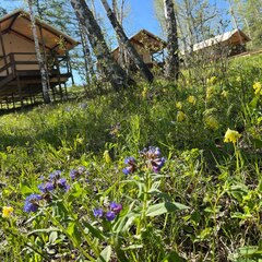 Глэмпинг Наедине, Республика Башкортостан