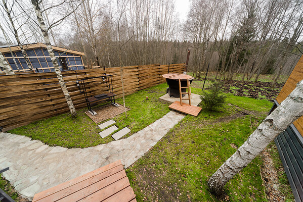 My little forest — фото 5