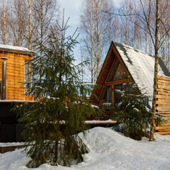 Гостевой дом My little forest, Московская область