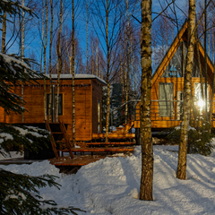 Гостевой дом My little forest, Московская область