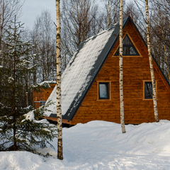Гостевой дом My little forest, Московская область