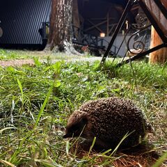 Гостевой дом А-фрейм Крыша, Республика Карачаево-Черкесия 