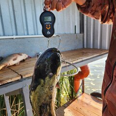 База отдыха Трифон, Астраханская область