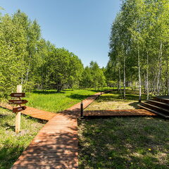 Глэмпинг Honey Day, Тульская область