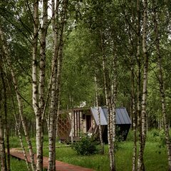 Глэмпинг Honey Day, Тульская область