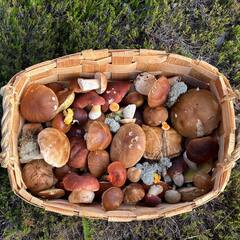 Гостевой дом Panorama Village, Республика Карелия