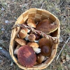 Гостевой дом Panorama Village, Республика Карелия