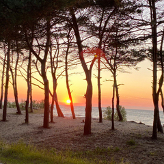 Кемпинг  Куликово Поле, Калининградская область