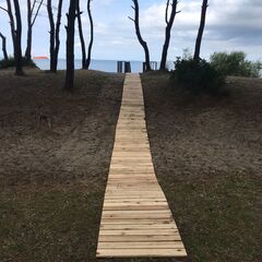 Кемпинг  Куликово Поле, Калининградская область