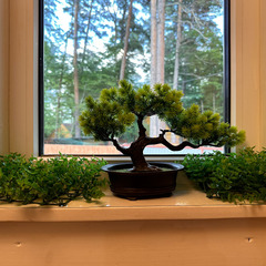 Дом У друзей, Республика Карачаево-Черкесия 