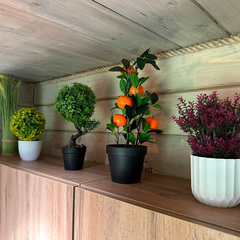 Дом У друзей, Республика Карачаево-Черкесия 