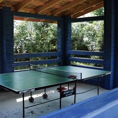 Вилла Смородина, Свердловская область