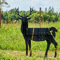 Глэмпинг РекаЛеса , Тверская область