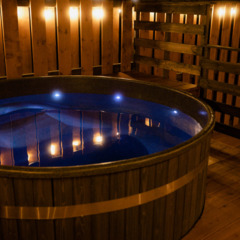 Дом отдыха Хвоя, Московская область