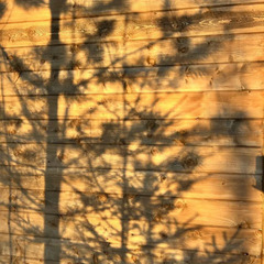 Глэмпинг Ягодка-Малинка, Московская область