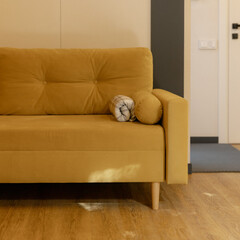 Глэмпинг DK LAND, Нижний Новгород, Нижегородская область