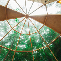 Глэмпинг Клевер, Ярославская область