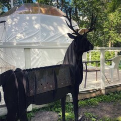 Глэмпинг Клевер, Ярославская область