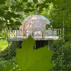 Глэмпинг Клевер, Ярославская область