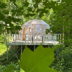 Глэмпинг Клевер, Ярославская область