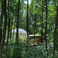 Глэмпинг Клевер, Ярославская область