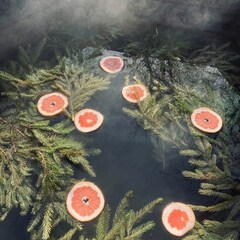 Глэмпинг Клевер, Ярославская область