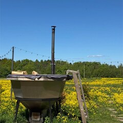 Глэмпинг Клевер, Ярославская область