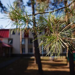 База отдыха Надежда, Самарская область