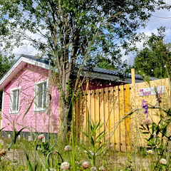 Дом Лепестки, Республика Удмуртия