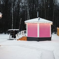 Дом Лепестки, Республика Удмуртия