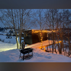 Дом Ранчо Альпика, Московская область