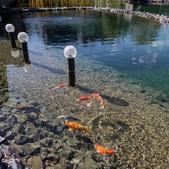 Глэмпинг The Les, Московская область